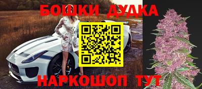 индика Жуковский