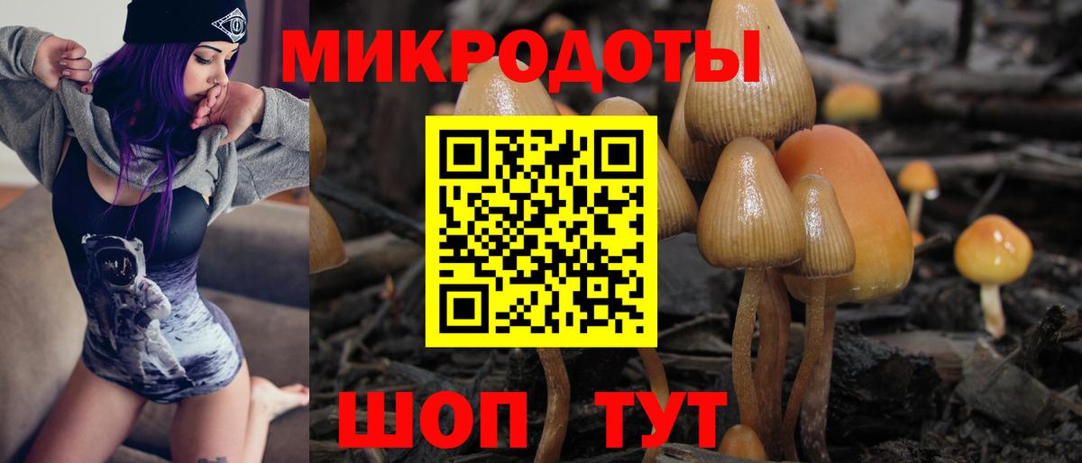 Галлюциногенные грибы ЛСД  Вход с VPN  Псилоцибиновые грибы прущие грибы  Новоуральск 